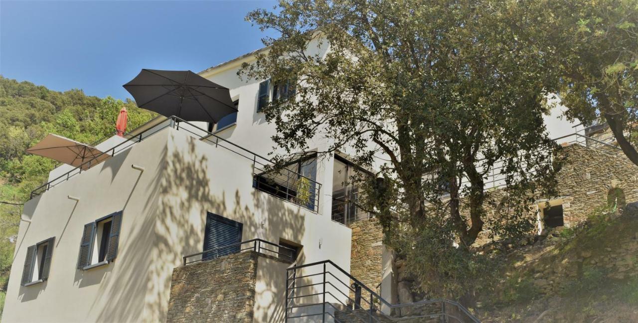 Вилла A Casa Di Campa Олетта Экстерьер фото